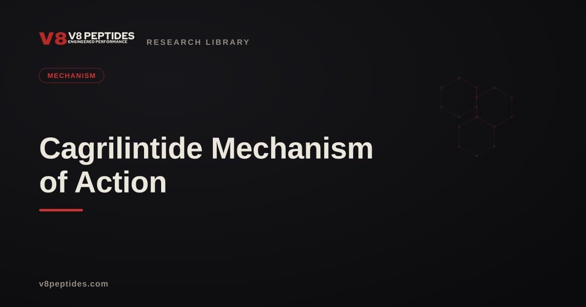 Cagrilintide Mechanism of Action