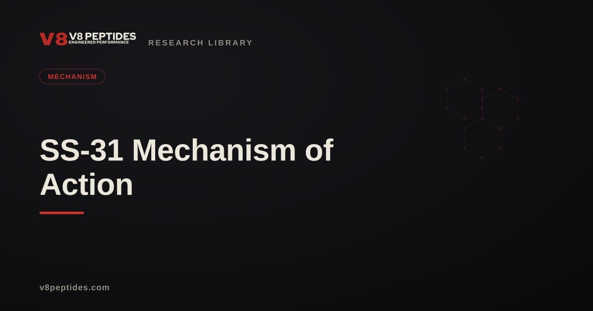SS-31 Mechanism of Action
