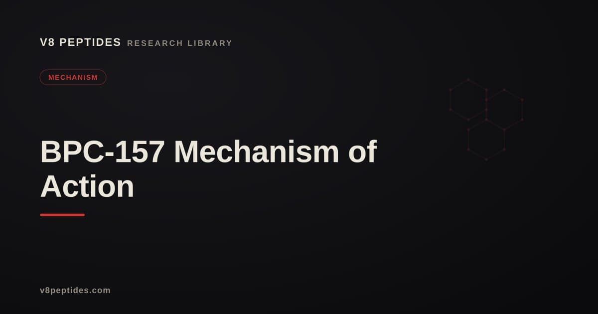 BPC-157 Mechanism of Action in Research Models